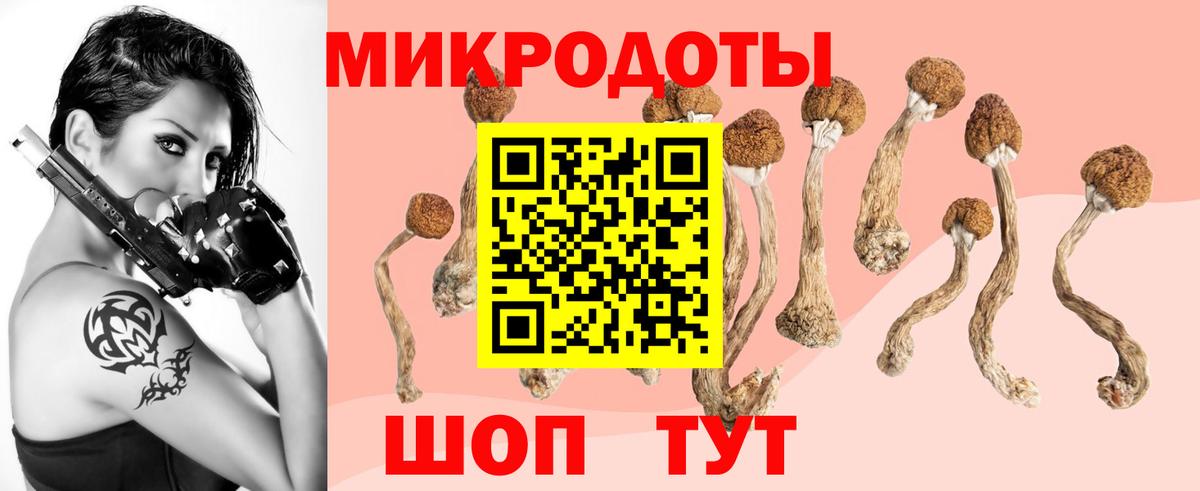 Семёнов  Псилоцибиновые грибы Cubensis  Вход с VPN 